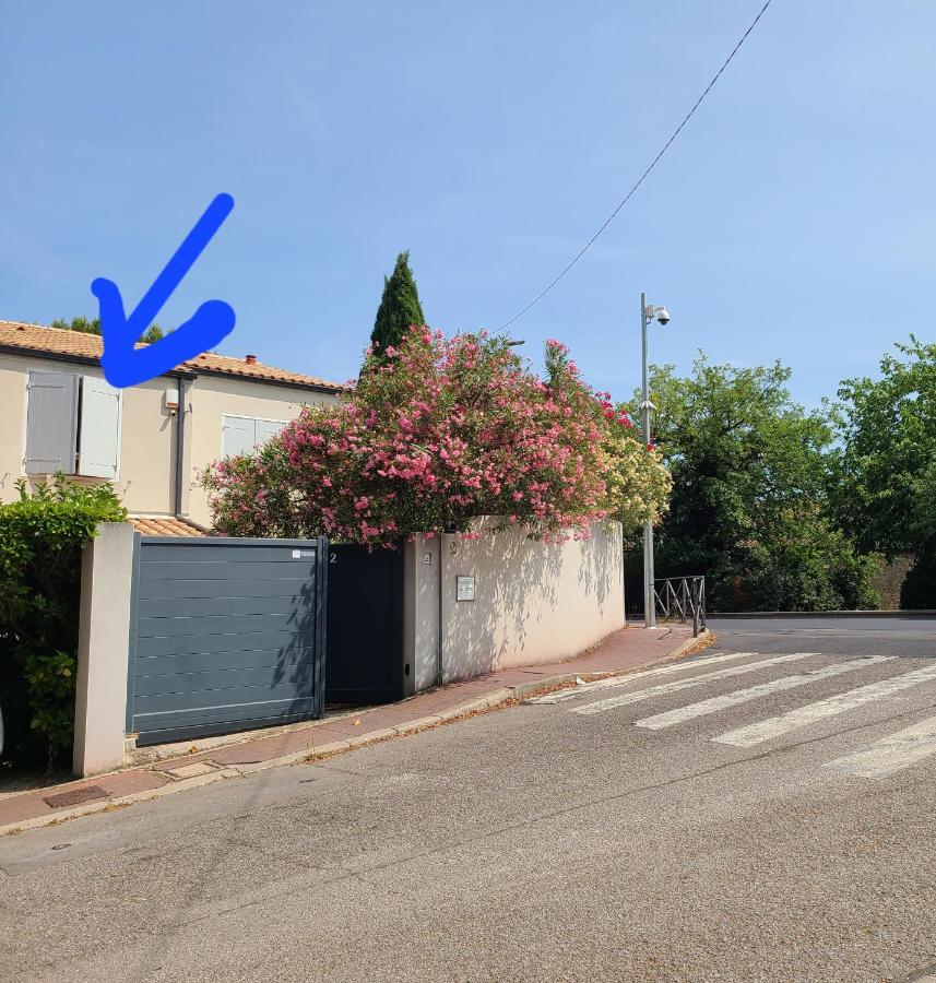 Chez Nous Dans Notre Petit Jardin Apartment Montpellier Exterior photo